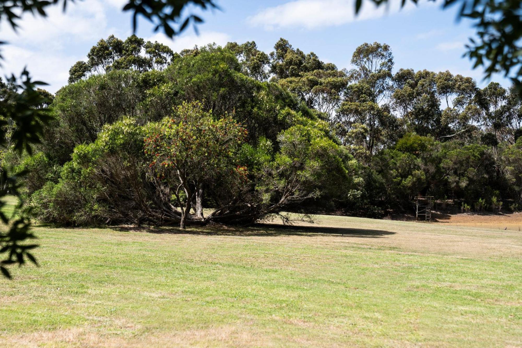 Bells Beach Cottages Bellbrae Exterior photo